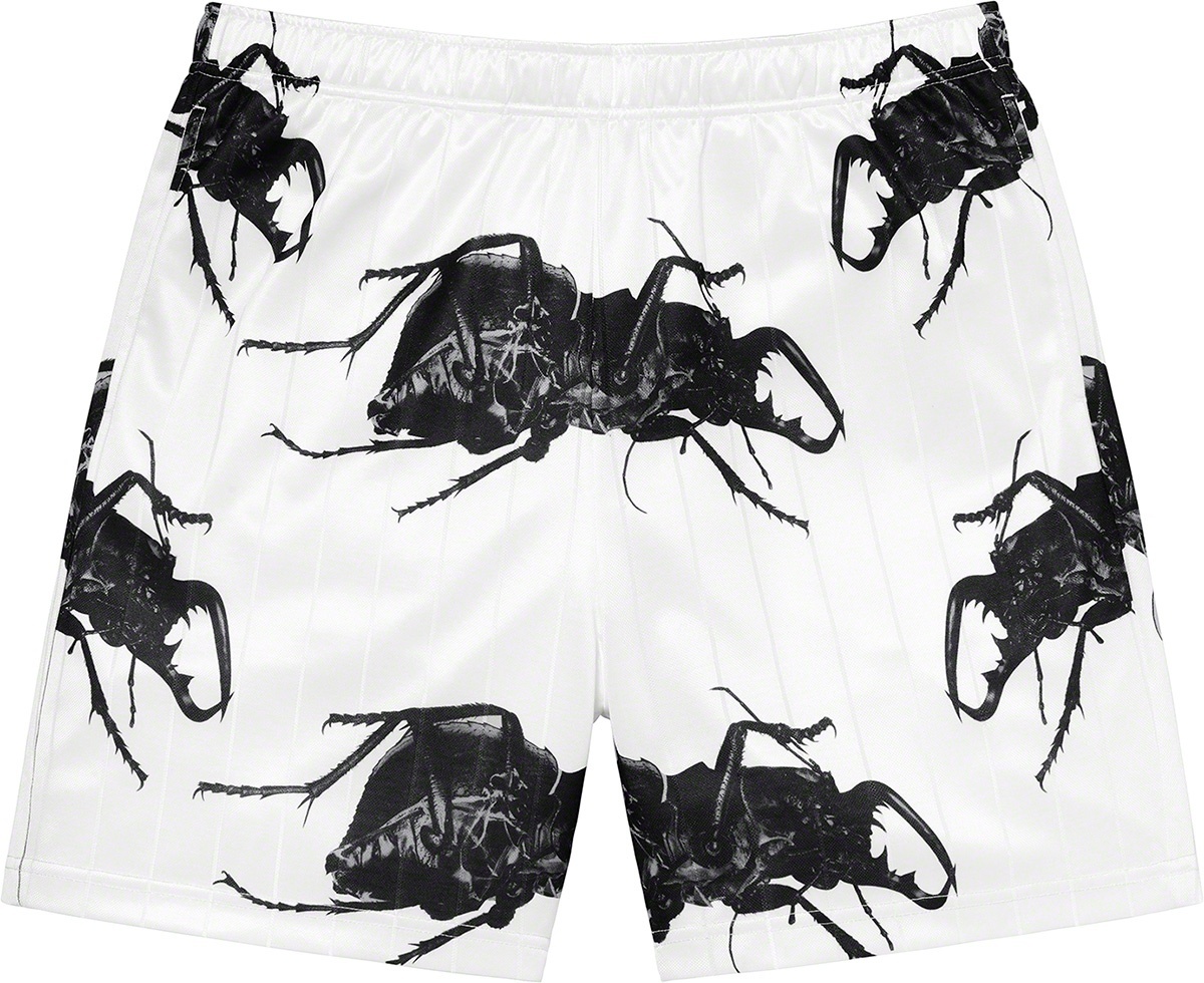 Beetle Short view 4
